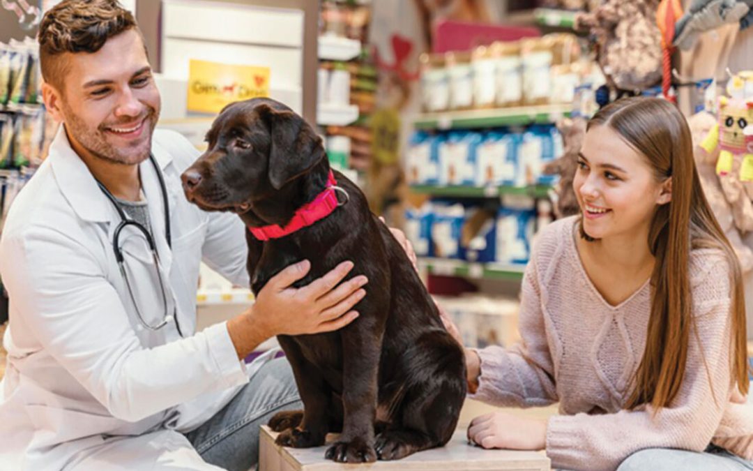 Perro acompañado de su dueña es acariciado por un médico veterinario en una clínica veterinaria que tiene como productos artículos para mascotas a la venta para potenciar su negocio.