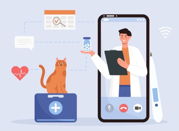 imagen que muestra un celular con un veterinario el cual da a entender que toca la medicina o control medico de un gato, tenencia responsable. 