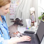Veterinaria ocupando un computador junto a un perro, Software veterinario.