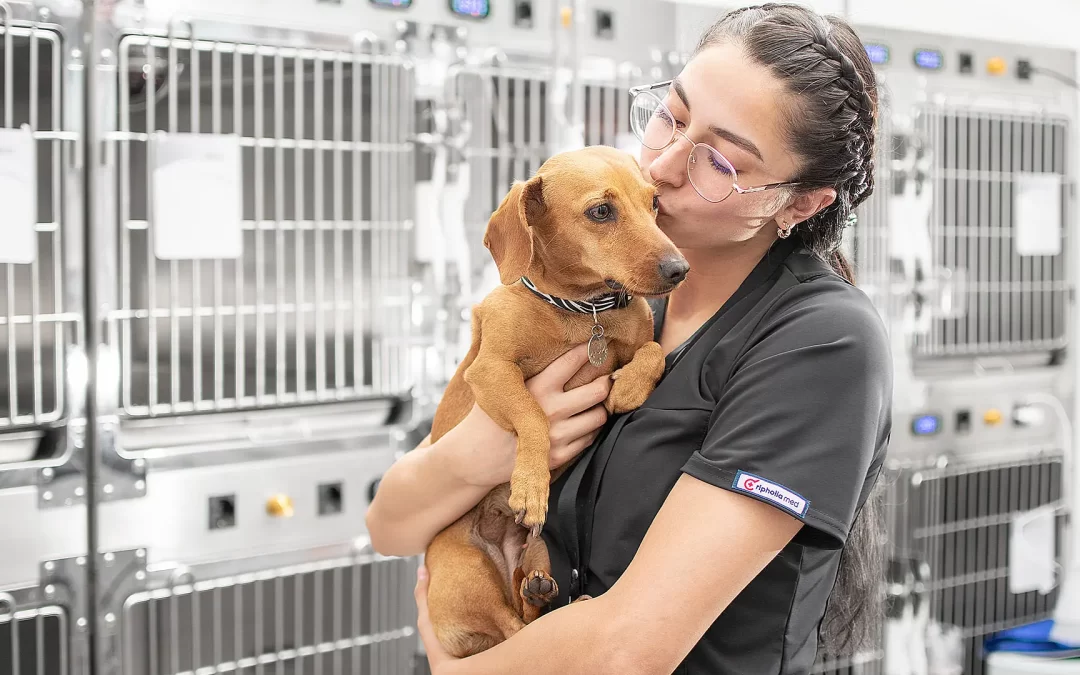 Medico veterinaria, en la zona de hospitalización veterinaria de una clínica con un perro en brazos, dándole cariño.