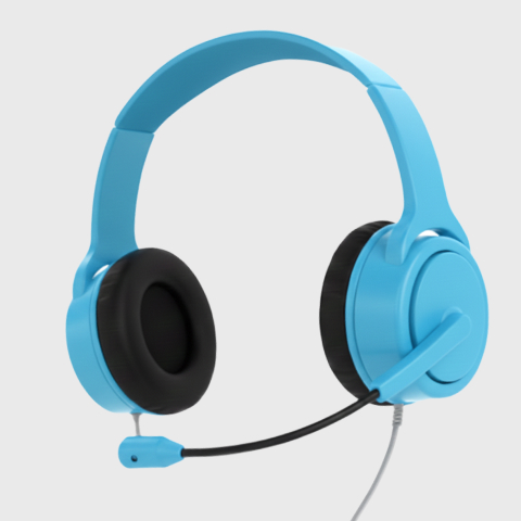 Capacitación Adicional