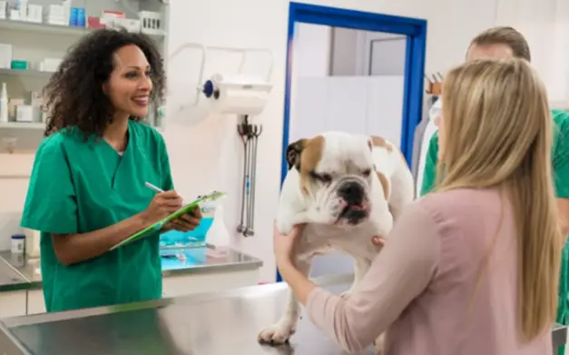 Tutora lleva a su mascota a una consulta veterinaria