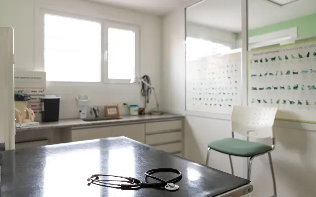 Consulta veterinaria ordenada e iluminada