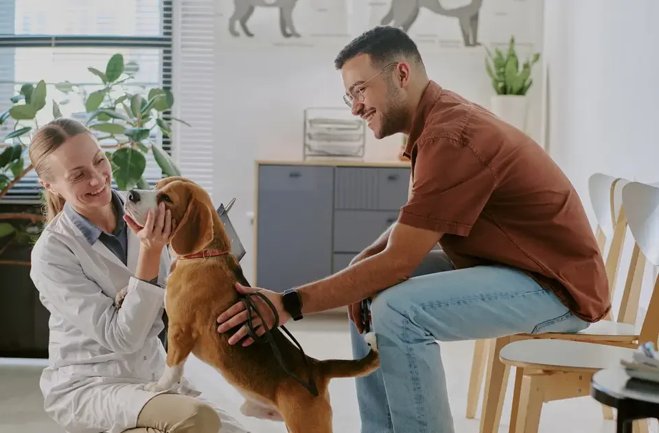 Hombre con su mascota llevandolo a una veterinaria multisucursal mientras lo revisa la veterinaria