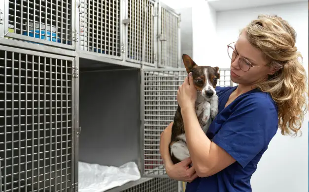 Doctora veterinaria atendiendo a un perro en el área de jaulas