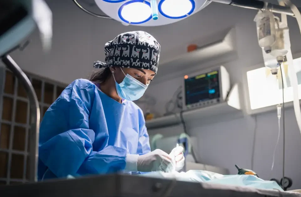Doctora veterinaria tratando a un paciente en una Clínica veterinaria 24 horas