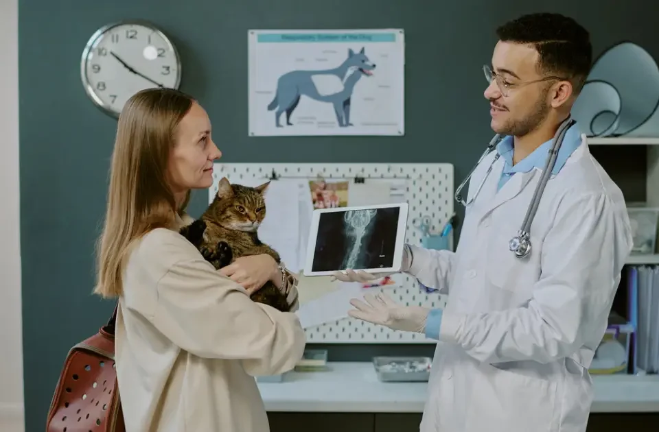 veterinario hablando con la tutora del gato sobre la Evolución médica veterinaria de su gato