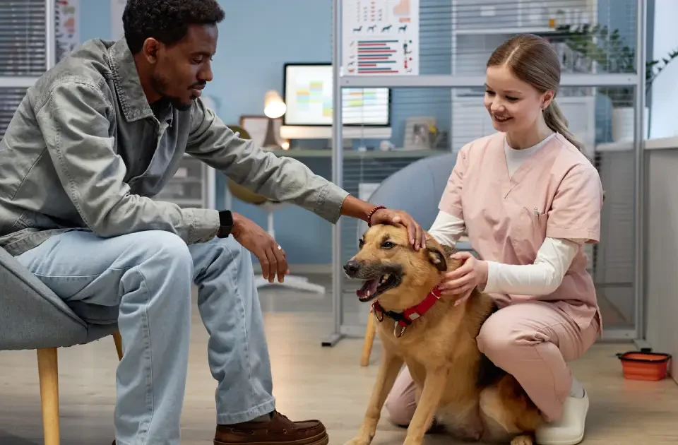 Doctora veterinaria con un perro y su tutor haciendo una buena gestión de sus turnos veterinarios