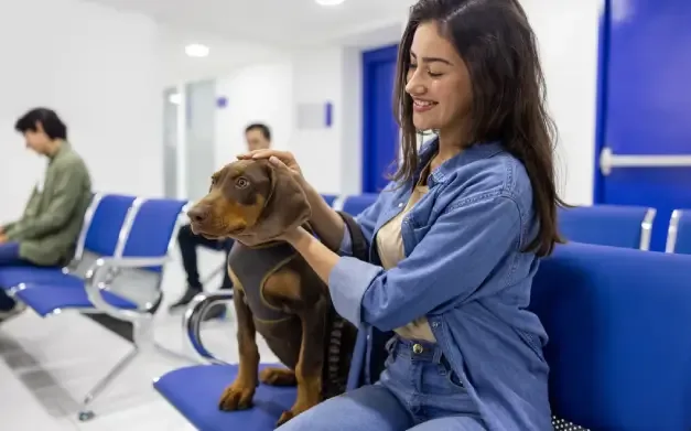 Cliente en la sala de espera con su perro