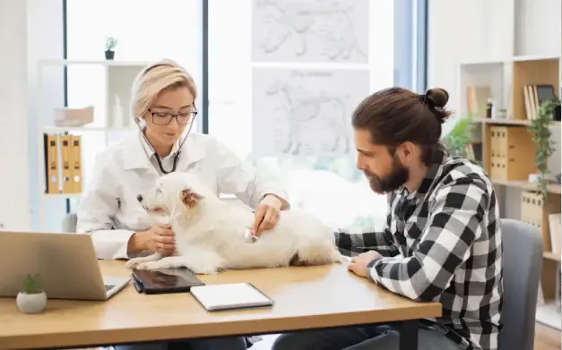 Doctora veterinaria atendiendo a su paciente mientras el tutor lo sostiene