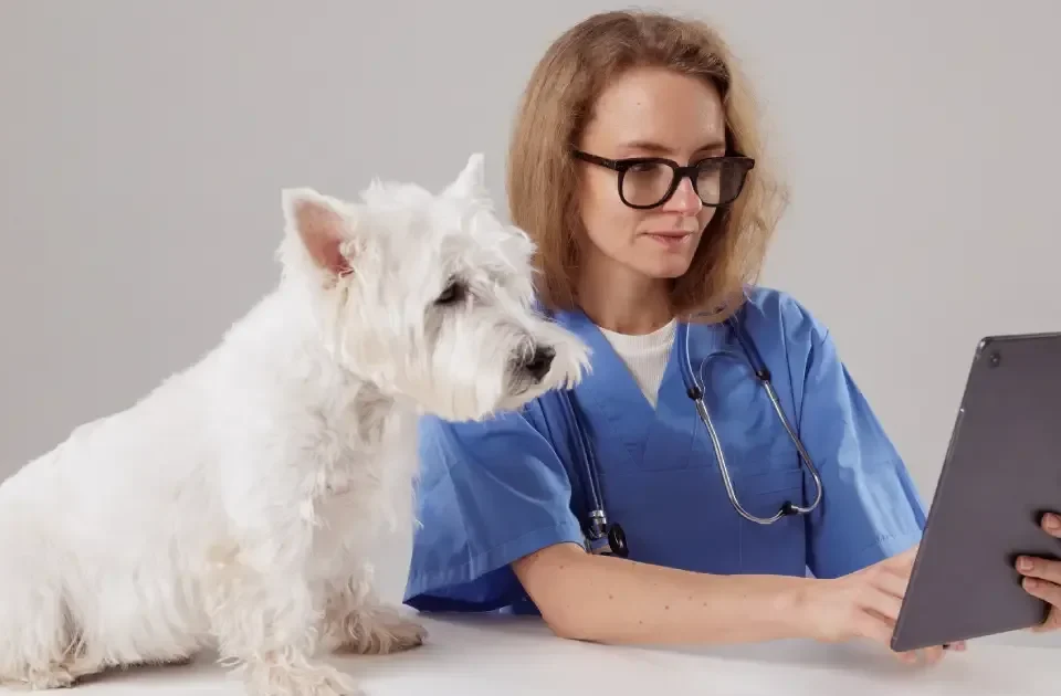 perro con una doctora veterinaria viendo como Digitalizar una clínica veterinaria